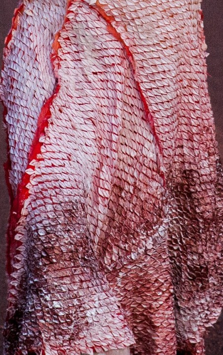 Detail of the costume for Earth Spirit in 'Spear'.