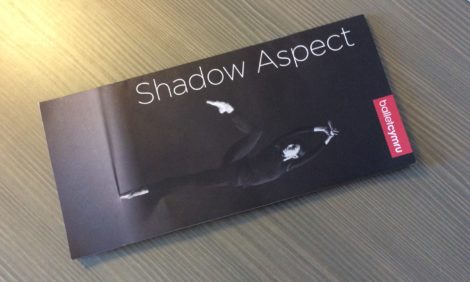 Shadow Aspect program