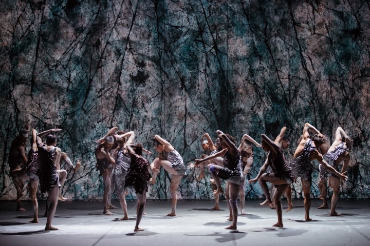 Dancers of Bangarra Dance Theatre in 'Dark Emu', 2018. Photo: © Daniel Boud