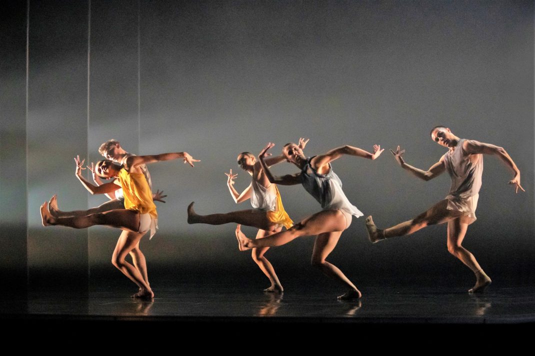 Dancers of Sydney Dance Company in Rafael Bonachela's 'Cinco', 2019. Photo: © Pedro Greig