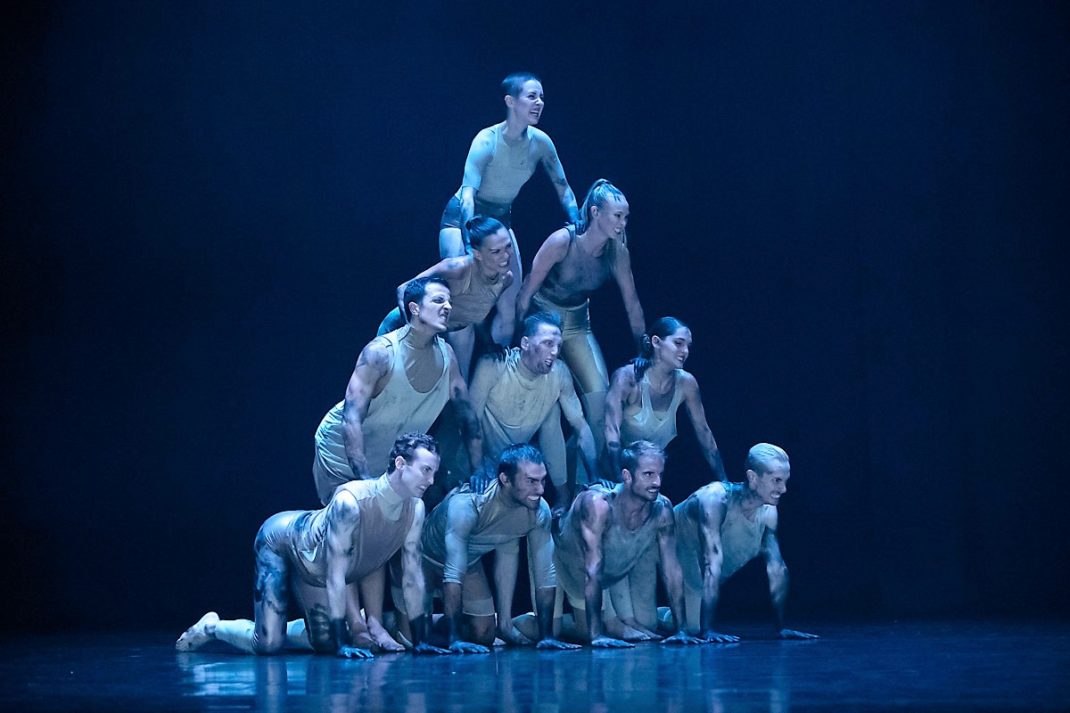 Scene from Melanie Lane's 'WOOF'. Sydney Dance Company, 2019. Photo: © Pedro Greig