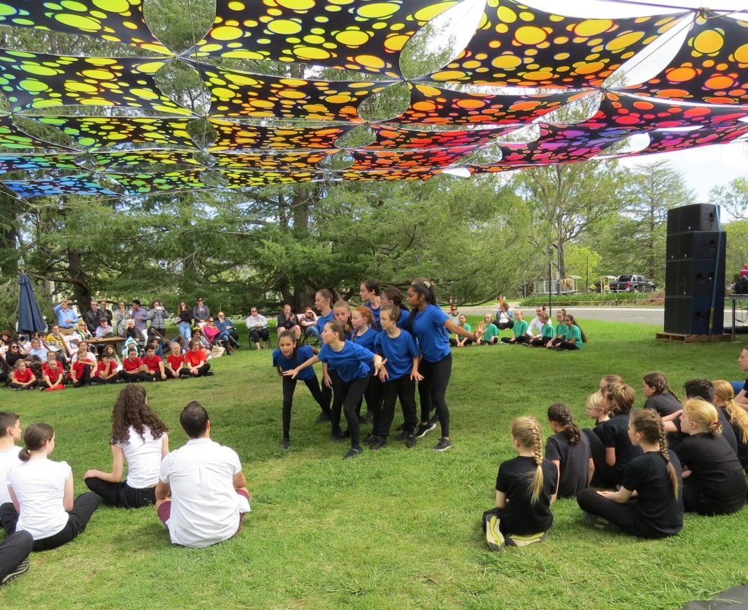 QL2 Dance and Australian Dance Party in 'Art, not Apart', Canberra 2020. Photo: Neville Potter