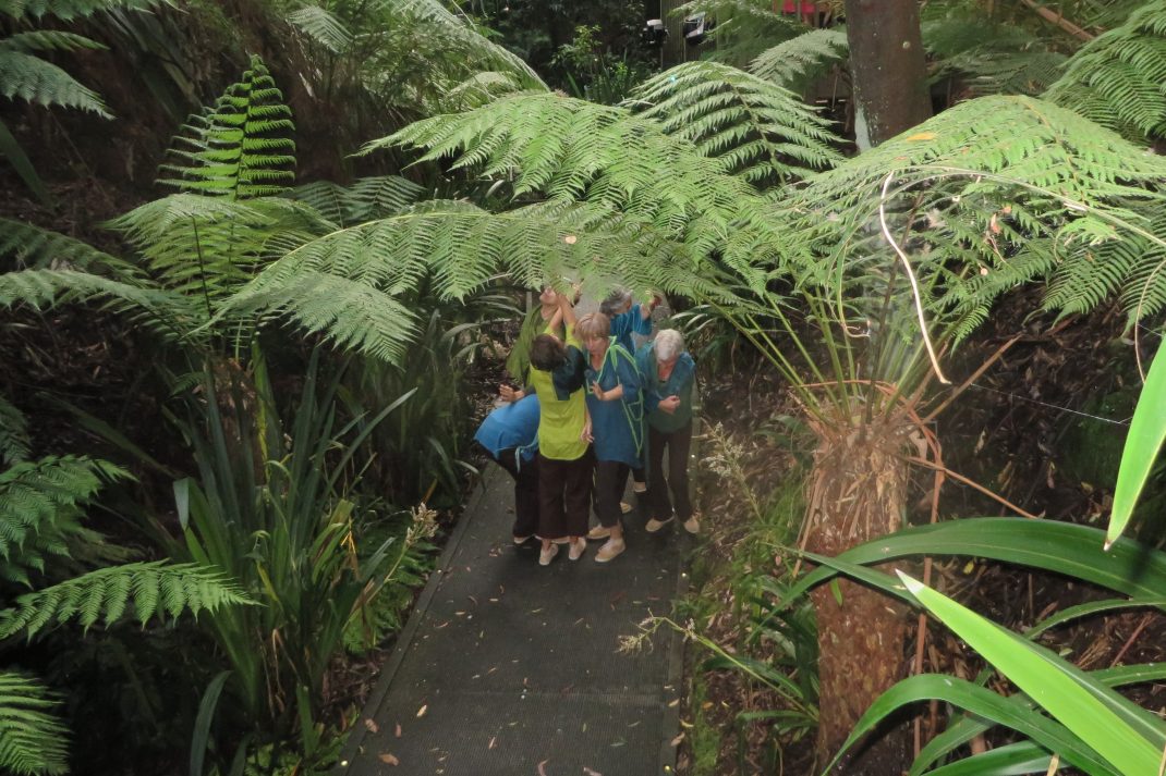 Dancers from Somebody's Aunt in 'Symbiosis'. Australian Dance Party 2021. Photo Michelle Potter