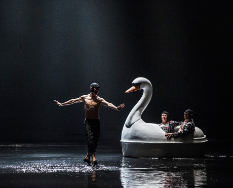 Swan Lake. Two alternative views – Michelle Potter